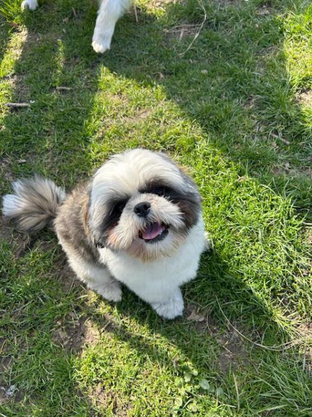 Benny