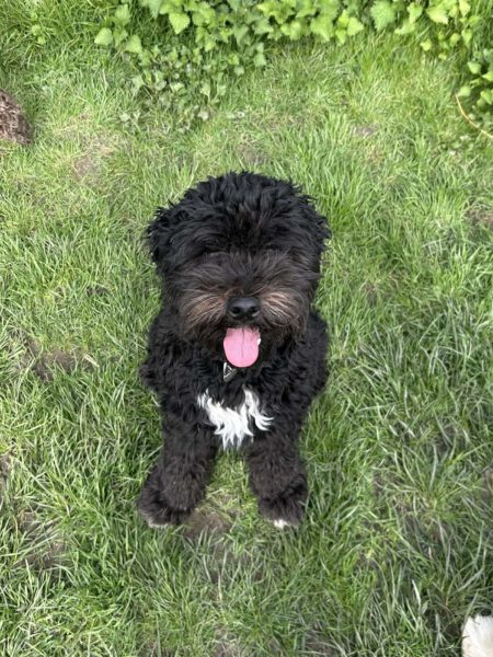 Molly