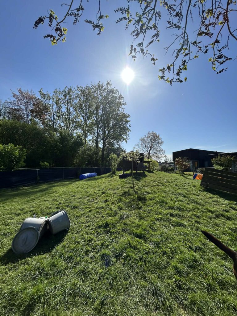 Hondenheuvel veld 1