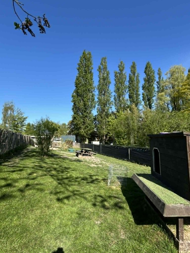 Hondenheuvel veld 3